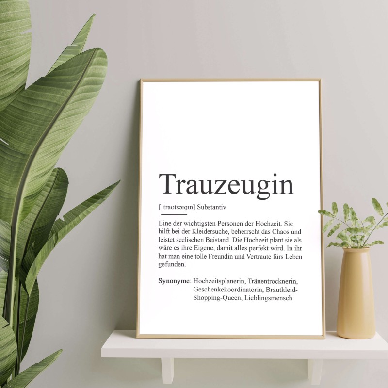 Poster TRAUZEUGIN Definition - 1